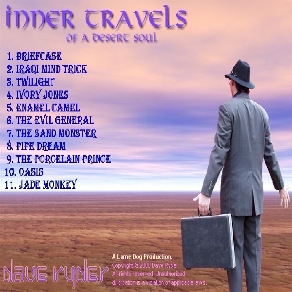 The Traveller surveys the vastness of the desert...